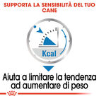 Royal Canin Dog Adult Light Weight Care 85 gr