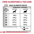 Royal Canin Veterinary Diet Dog Adult Gastrointestinal Moderate Calorie 15 kg