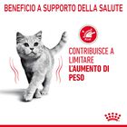 Royal Canin Cat Adult Light Weight in Gelatina 85gr