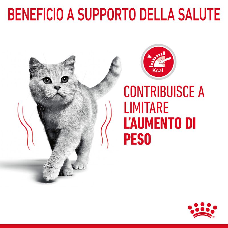 Royal Canin Cat Adult Light Weight in Gelatina 85gr
