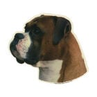 Camon Vetrofanie boxer yellow image number 0