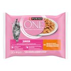 Purina One Kitten con Pollo e Carote 4 pz x 85 gr