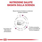 Royal Canin Veterinary Diet Cat Renal Special 400 gr