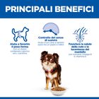 Hill's Science Plan Dog Light Small & Mini Adult al Pollo 1,5 kg