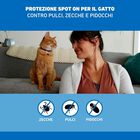 Frontline Spot On Gatto 3 Pipette 0,5ml