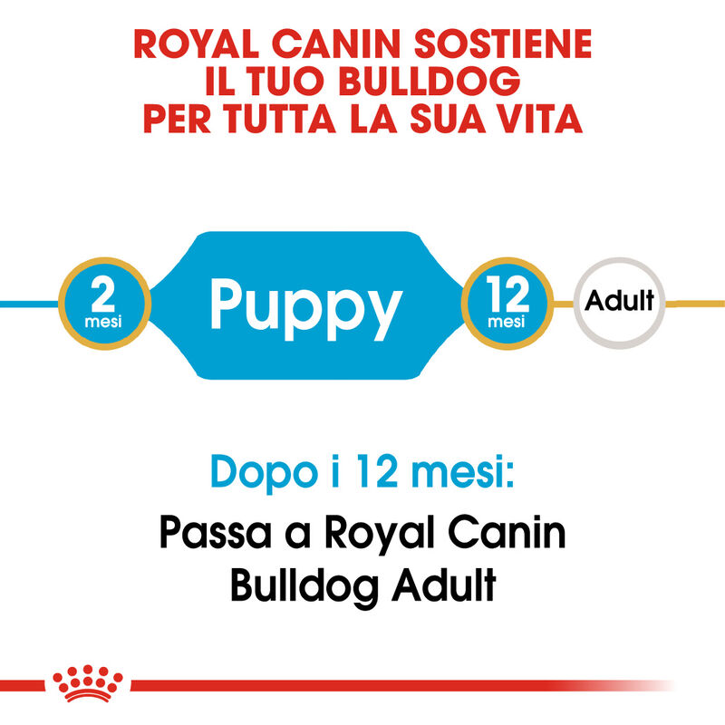 Royal Canin Dog Puppy Bulldog 12 kg  