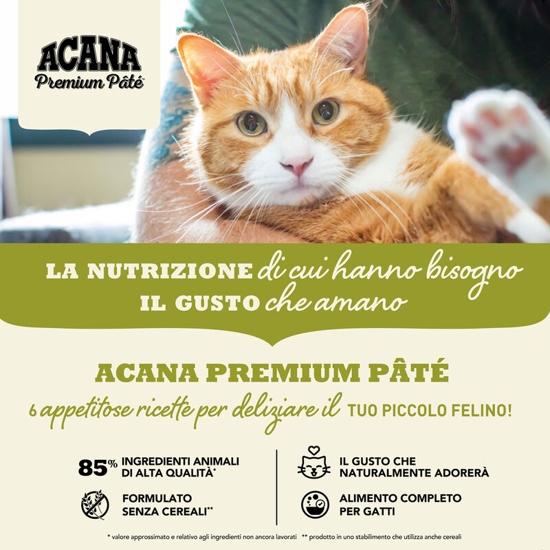 Acana Cat Premium Pat&eacute; Salmon with Chicken Recipe 85 gr