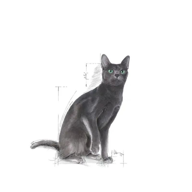 Royal Canin Cat Adult Sterilised 37 2 kg