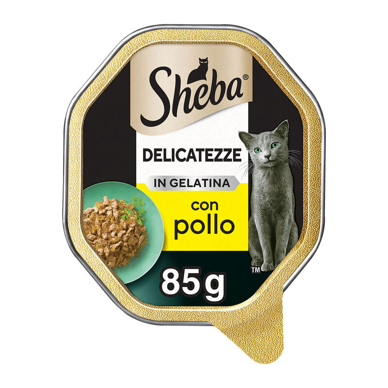 Sheba Cat Delicatezze in Gelatina Pollo 85 gr