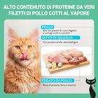 Schesir After Dark Cat Adult Filetti in brodo Pollo e Uova di quaglia 80 gr