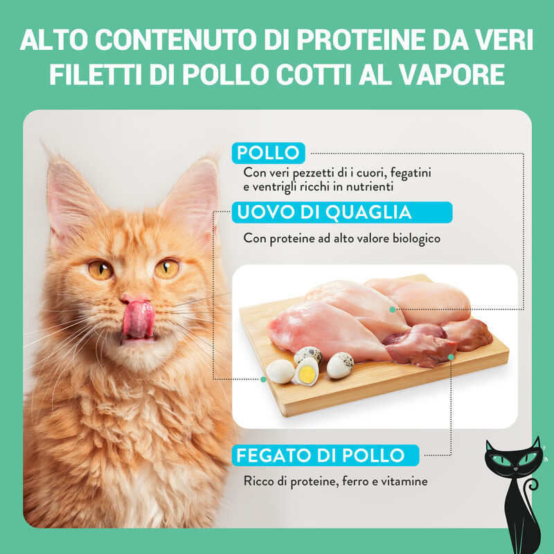 Schesir After Dark Cat Adult Filetti in brodo Pollo e Uova di quaglia 80 gr