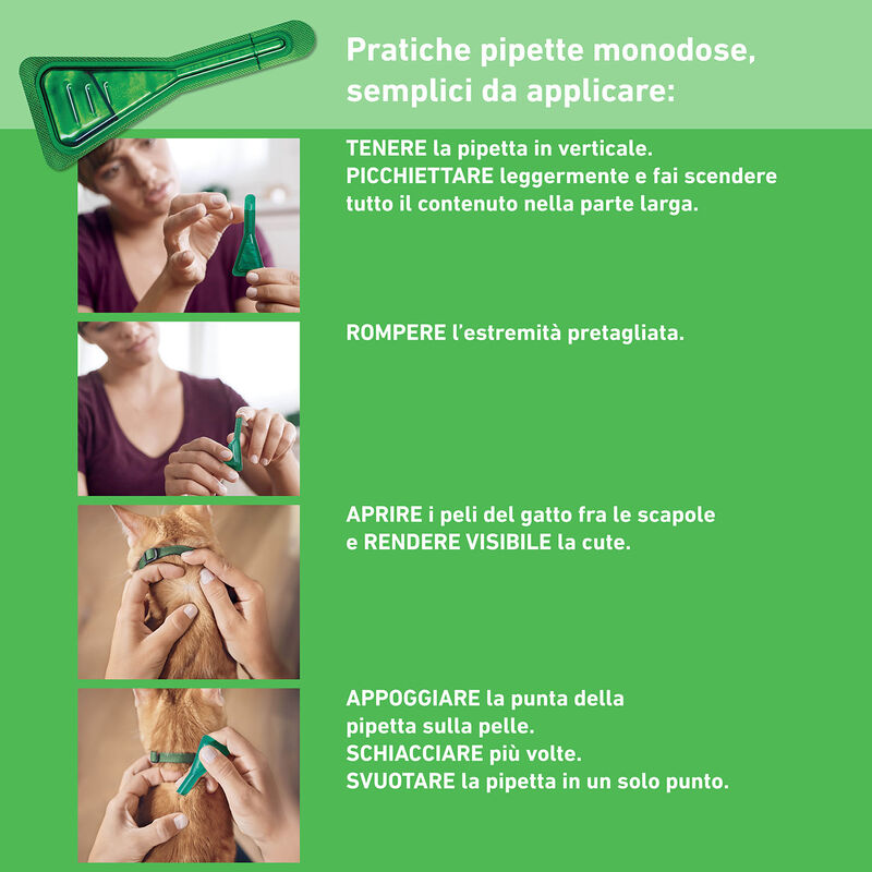 Frontline Combo Spot-On gatti e furetti 3 pipette