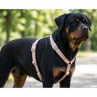 Trixie Premium Pettorina ad H color Blush mis. M-L
