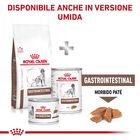 Royal Canin Veterinary Diet Dog Gastrointestinal 2 kg