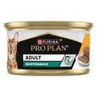 Purina Pro Plan Cat Adult Maintenance Pat&egrave; con Pollo 85 gr