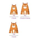 Petreet Cat 100% Monoproteico Sgombro 70 gr