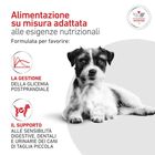 Royal Canin Veterinary Diet Small Dog Adult Glycobalance 4 kg