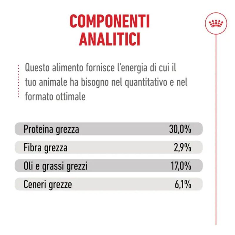 Royal Canin Cat Senior Ageing +11 anni 4 kg