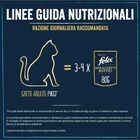 Felix Cat Sfilaccetti Rustici Manzo Pollo Anatra e tacchino 44 pz x 80 gr