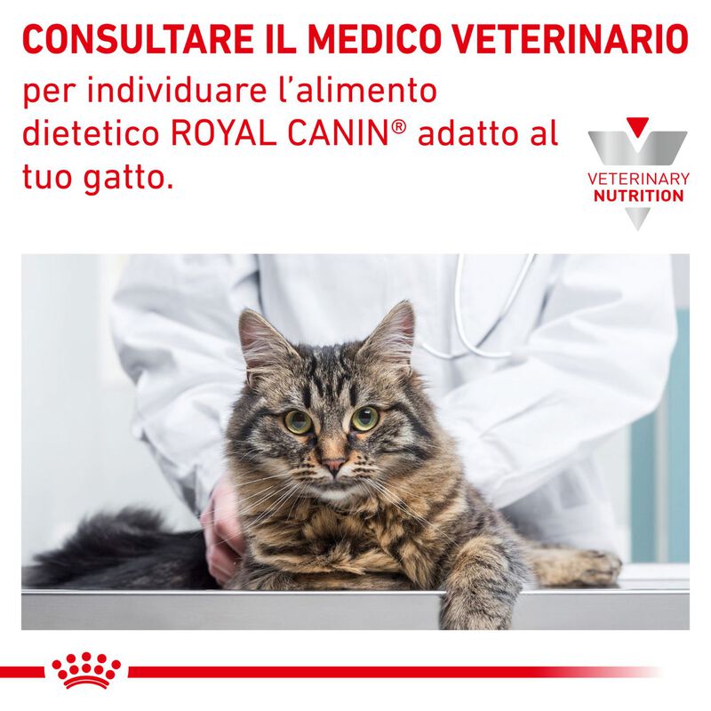 Royal Canin Veterinary Diet Cat Anallergenic 2 kg