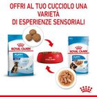 Royal Canin Dog Maxi Puppy 140 gr