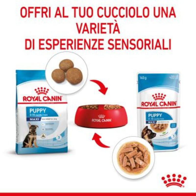 Royal Canin Dog Maxi Puppy 140 gr