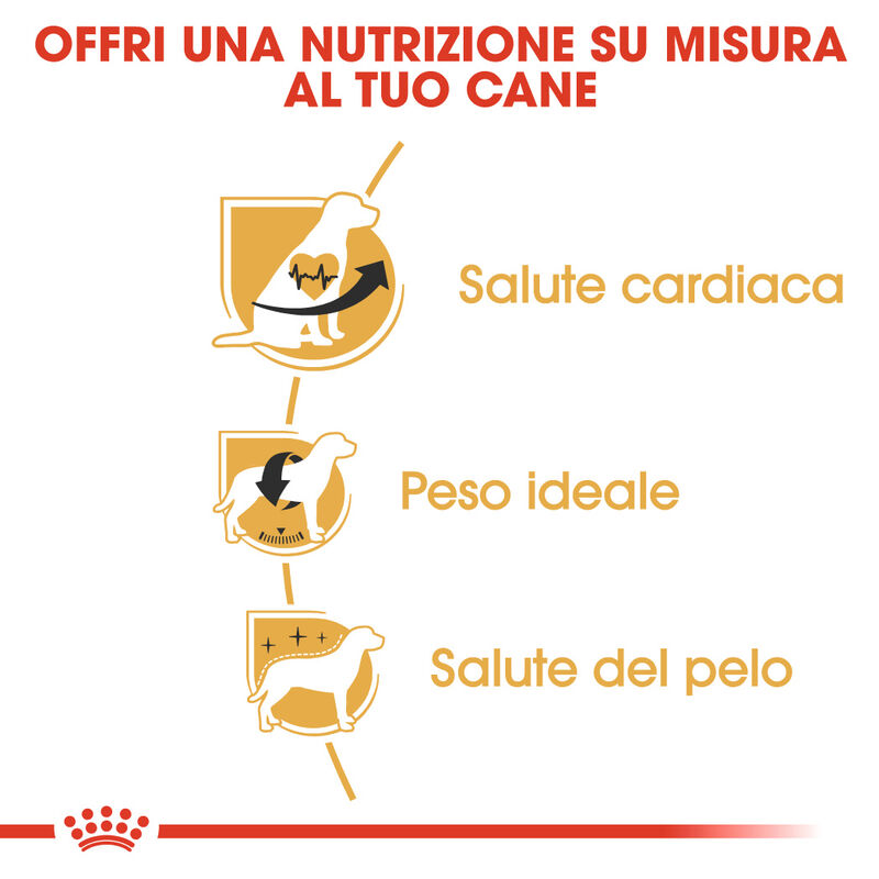 Royal Canin Dog Adult e Senior Cavalier King Charles Spaniel 1,5 kg
