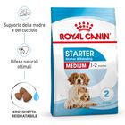 Royal Canin Dog Medium Starter Mother & Babydog 4 kg