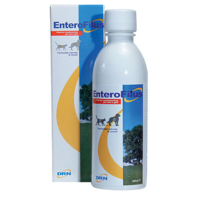 Drn Dog Enterofilus Probiotico Intestinale 250 ml