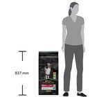 Purina Pro Plan Dog Adult Medium Sensitive Digestion Agnello 14 kg