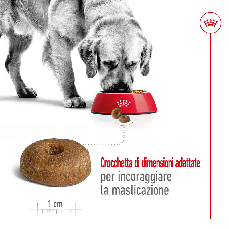 Royal Canin Dog Maxi Health Nutrition 8+ Ageing 15kg