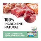 Schesir Cat Tonnetto con Zucca in Jelly 70 gr
