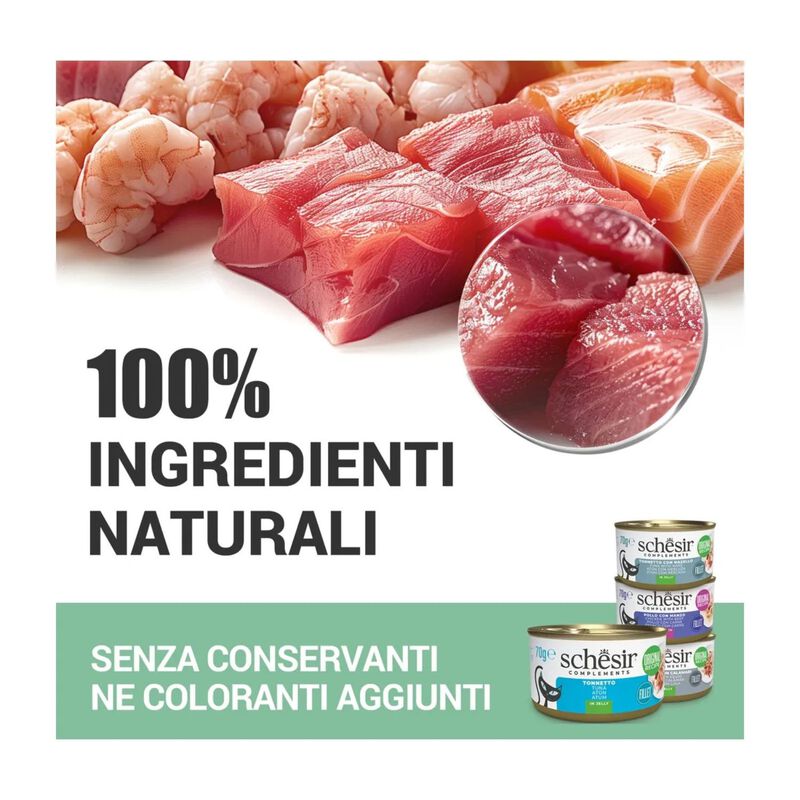 Schesir Cat Tonnetto con Zucca in Jelly 70 gr
