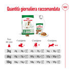 Royal Canin Dog Mini Adult 8+ 2 kg