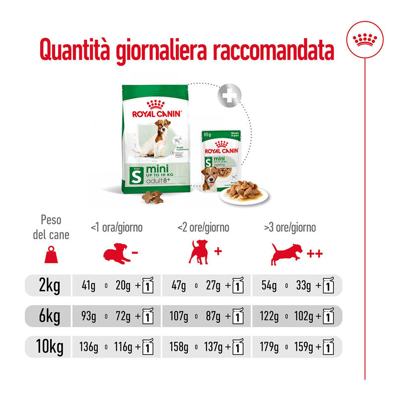 Royal Canin Dog Mini Adult 8+ 2 kg