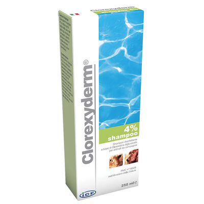I.c.f Clorexyderm shampoo 4% 250 ml.