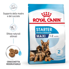 Royal Canin Maxi Starter Mother&Babydog 4 Kg