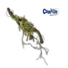 Camillo Repta Passion Liana con muschio 48 cm image number 0