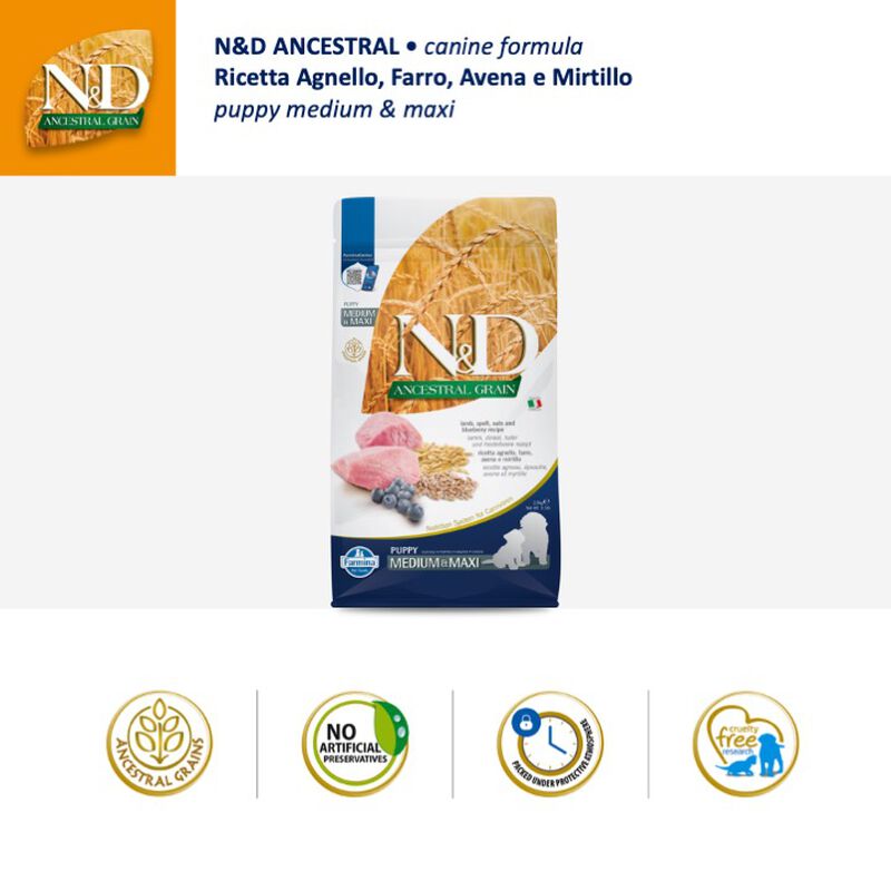 Farmina N&D Ancestral Grain Puppy Medium&Maxi Agnello Farro, Avena e Mirtillo 12 kg