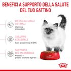 Royal Canin Cat Kitten 400 gr