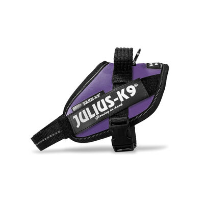 Julius-K9 Pettorina per cani mini IDC Powerharness Tg. XS Viola