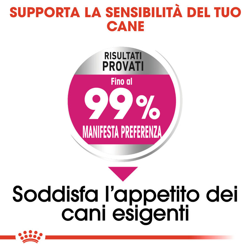 Royal Canin Dog Mini Adult e Senior Exigent 1 kg