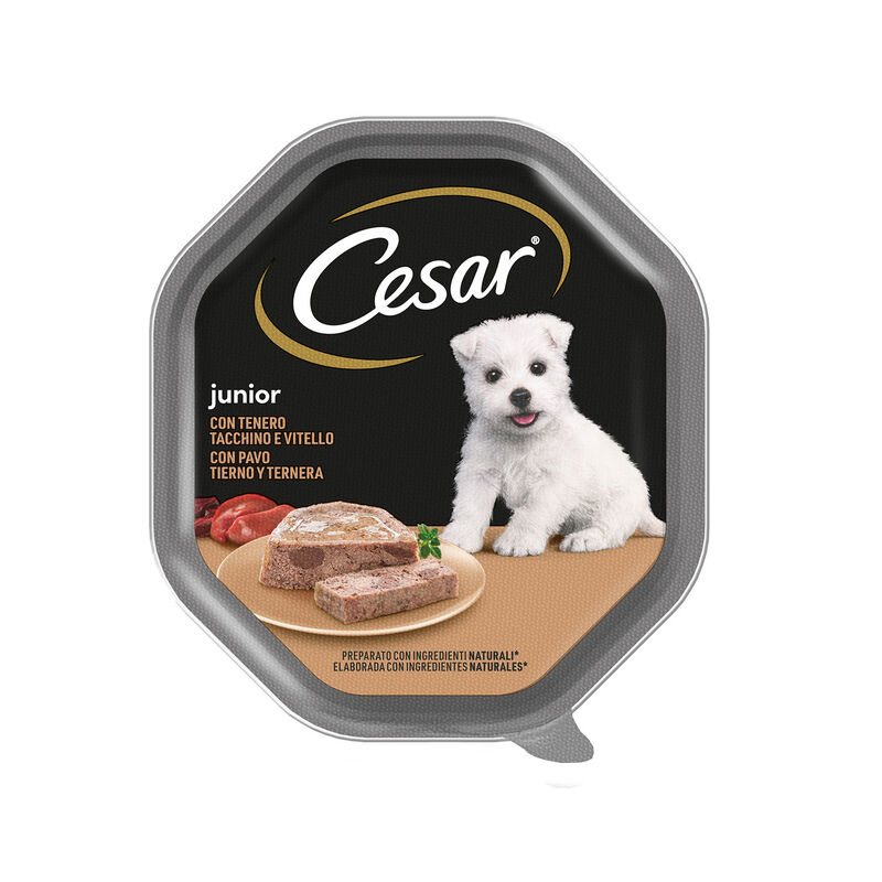 Cesar Dog Puppy Patè Vitello e Tacchino 150 gr