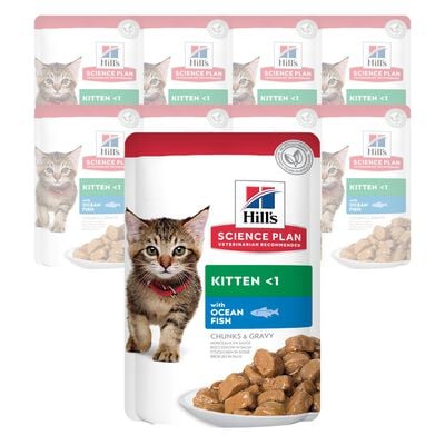 Hill's Science Plan Cat Kitten con Pesce Oceanico Bustina 85 gr