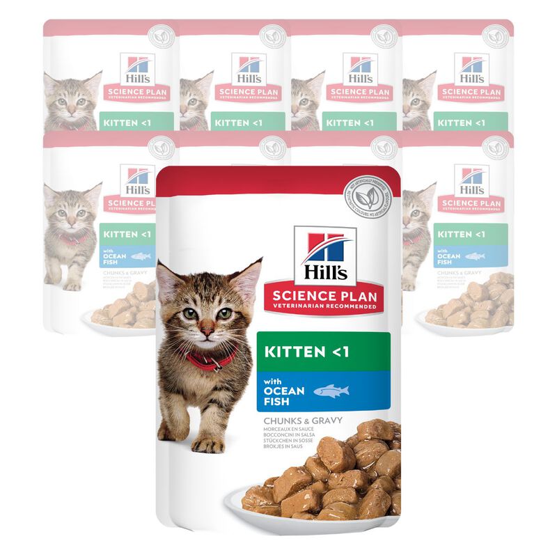 Hill's Science Plan Cat Kitten con Pesce Oceanico Bustina 85 gr