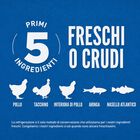 Orijen Original Cane Adulto 11,4 Kg