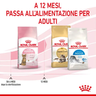 Royal Canin Cat Kitten Sterilised 400 gr