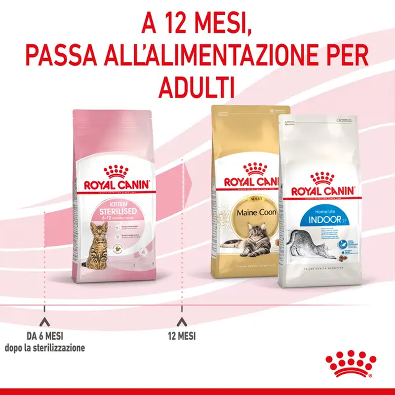 Royal Canin Cat Kitten Sterilised 400 gr