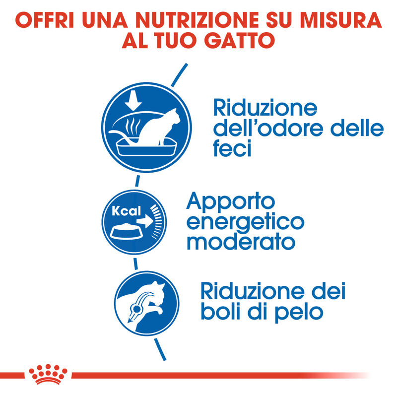 Royal Canin Cat Adult Indoor 27 400 gr