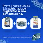 N&D Farmina Ocean Cat Adult Aringa & Arancia 300 gr